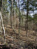 Lot 8&9 Tellico Camp Rd 8&9