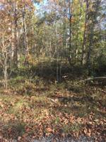 2037 Black Wolf Drive