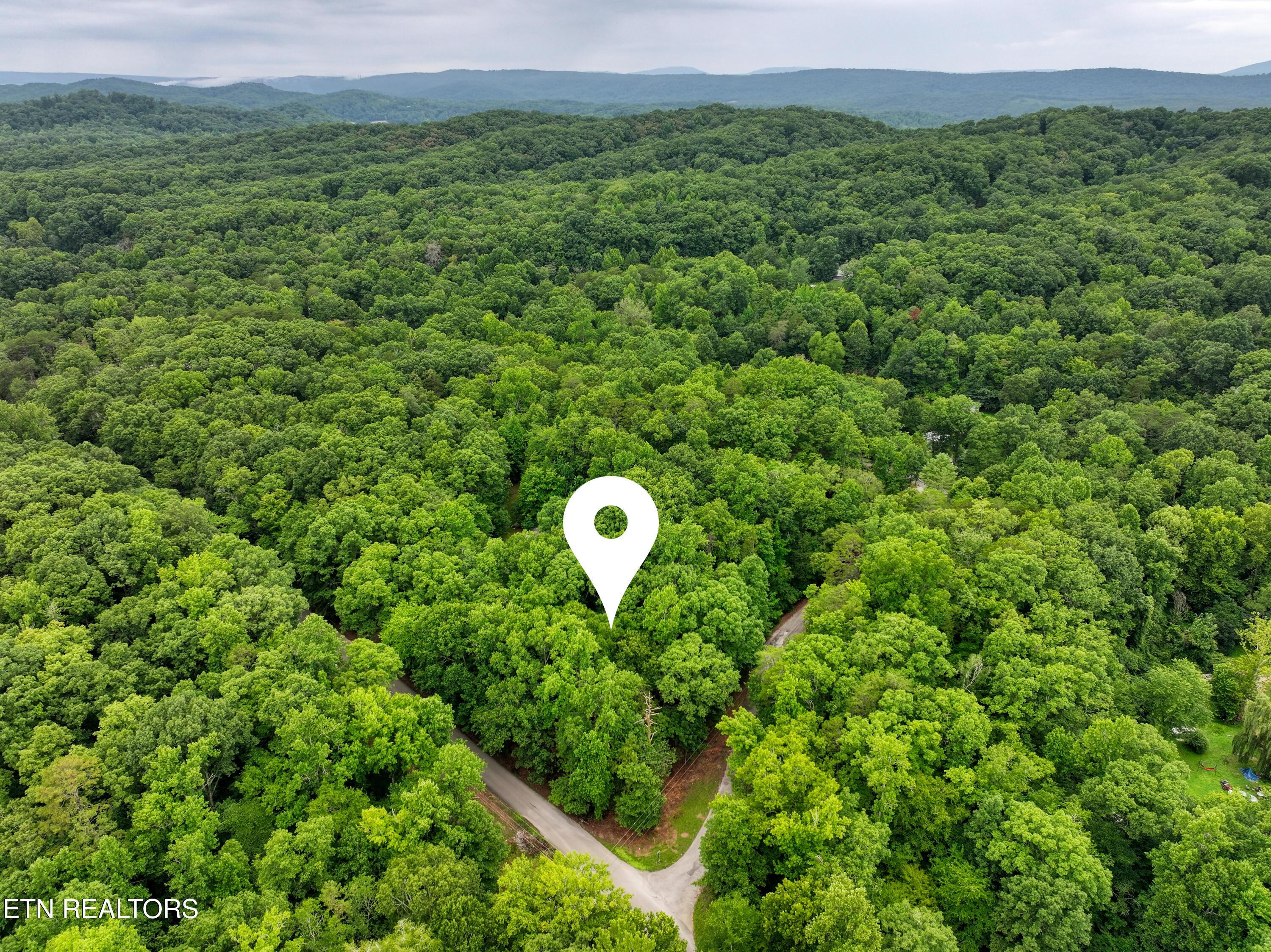 Image 4: DJI_20260715094842_0202_D_50
