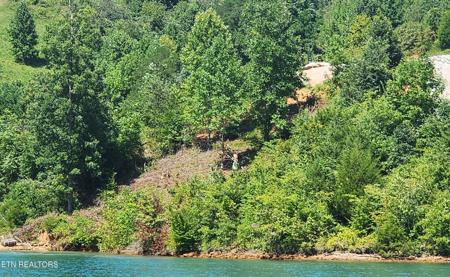 Lot 19 Cameron Loop