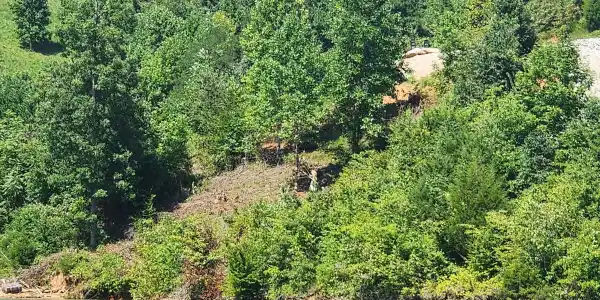 Lot 19 Cameron Loop