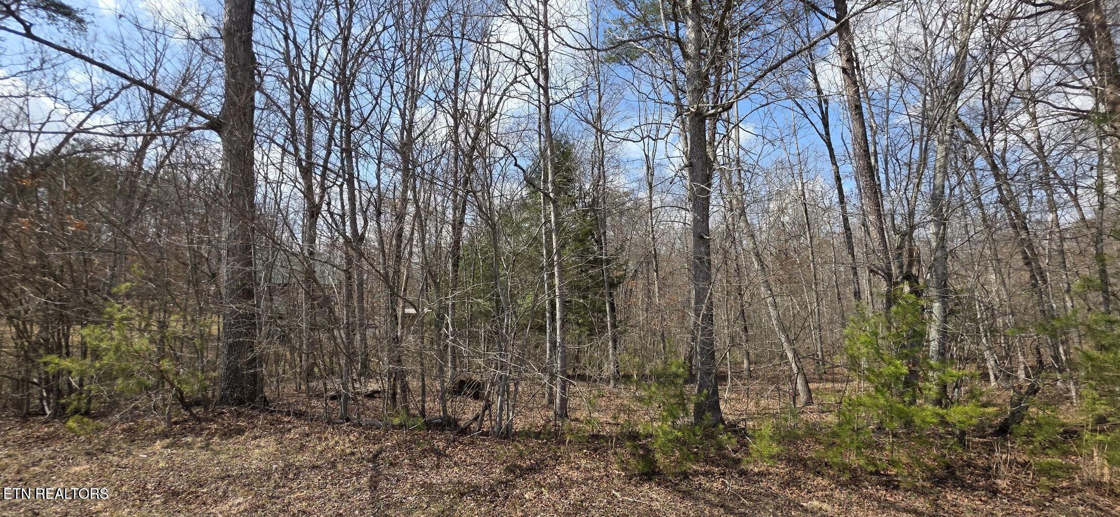 Image 1: Lot 7 Cumberland Lakes Drive Photo 1