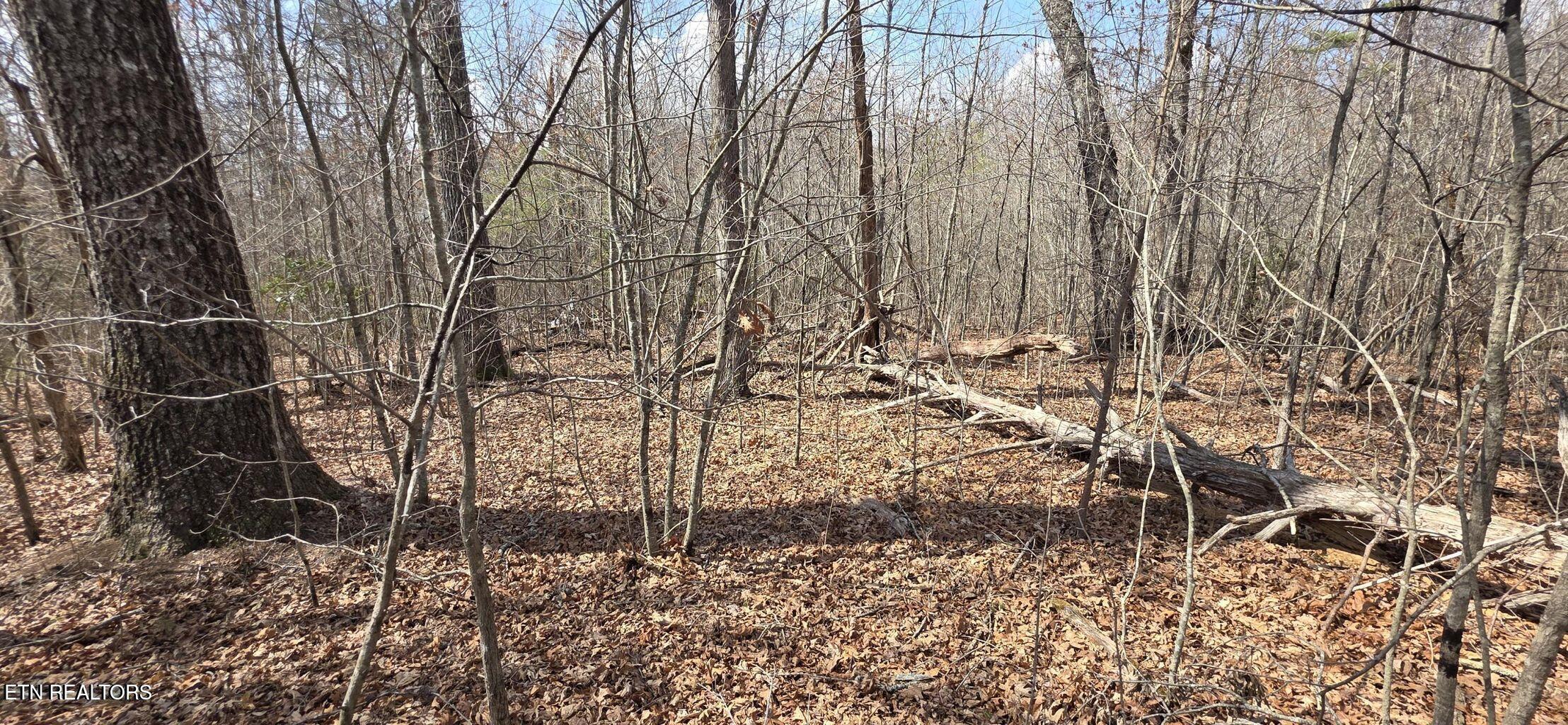 Image 2: Lot 7 Cumberland Lakes Drive Photo 6