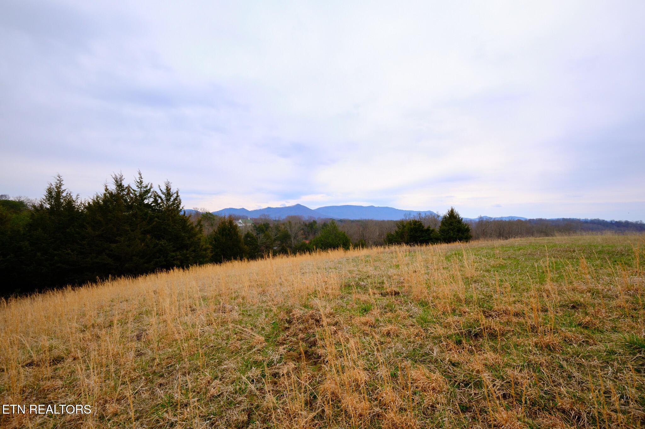 Image 2: Lot #4 1410 Swannsylvania Rd Dandridge,