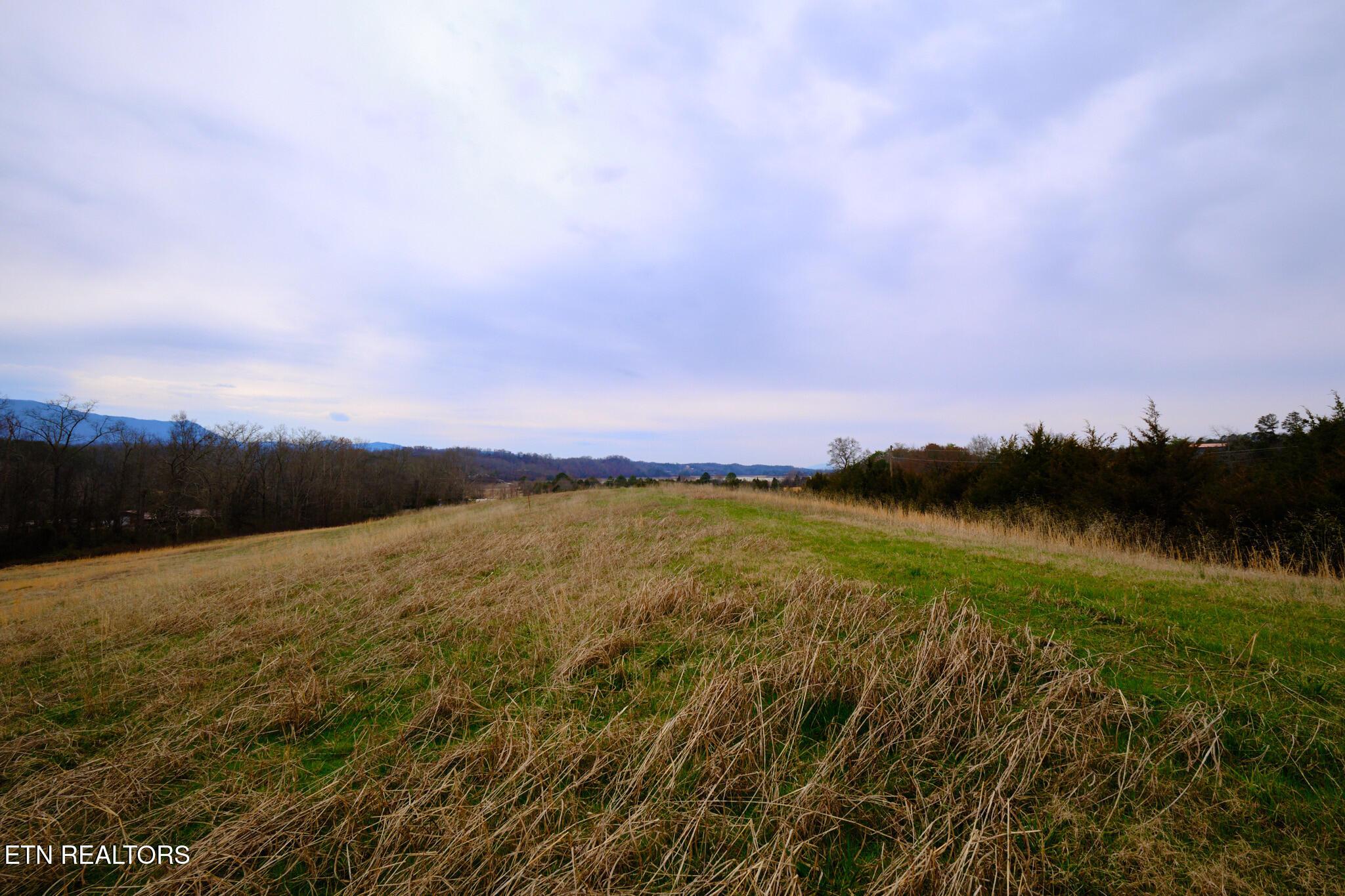 Image 3: Lot #4 1410 Swannsylvania Rd Dandridge,