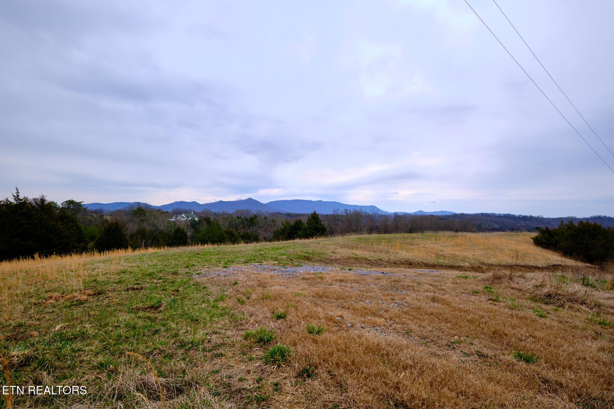 Image 4: Lot #4 1410 Swannsylvania Rd Dandridge,
