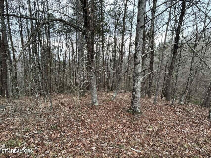 Image 2: land for sale