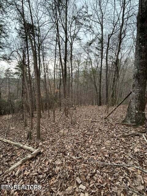 Image 3: land for sale