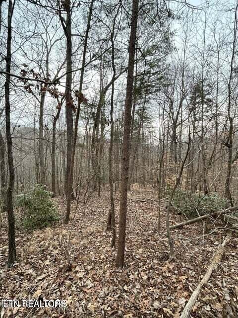 Image 4: land for sale