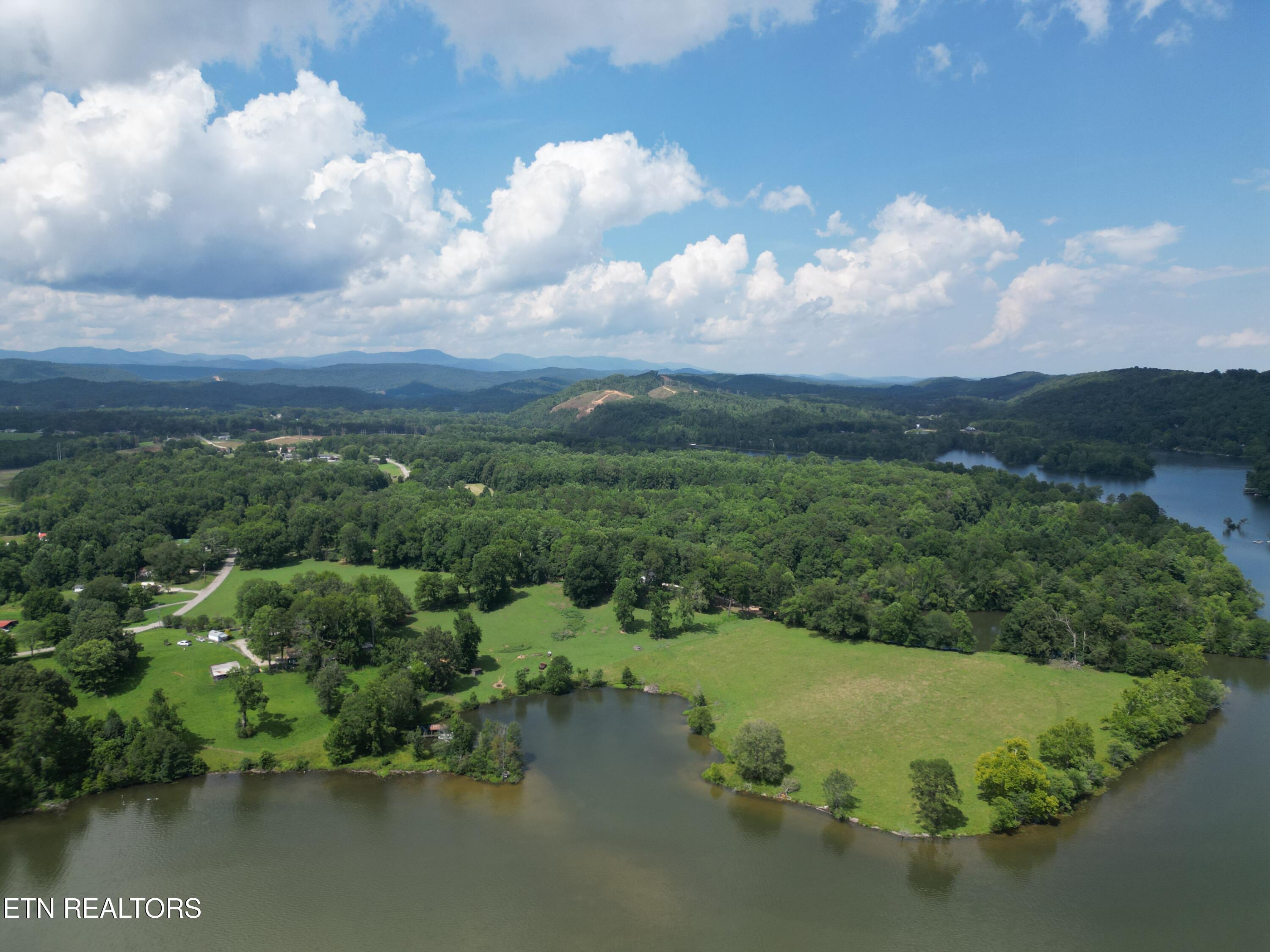 Image 4: SwanPond 3