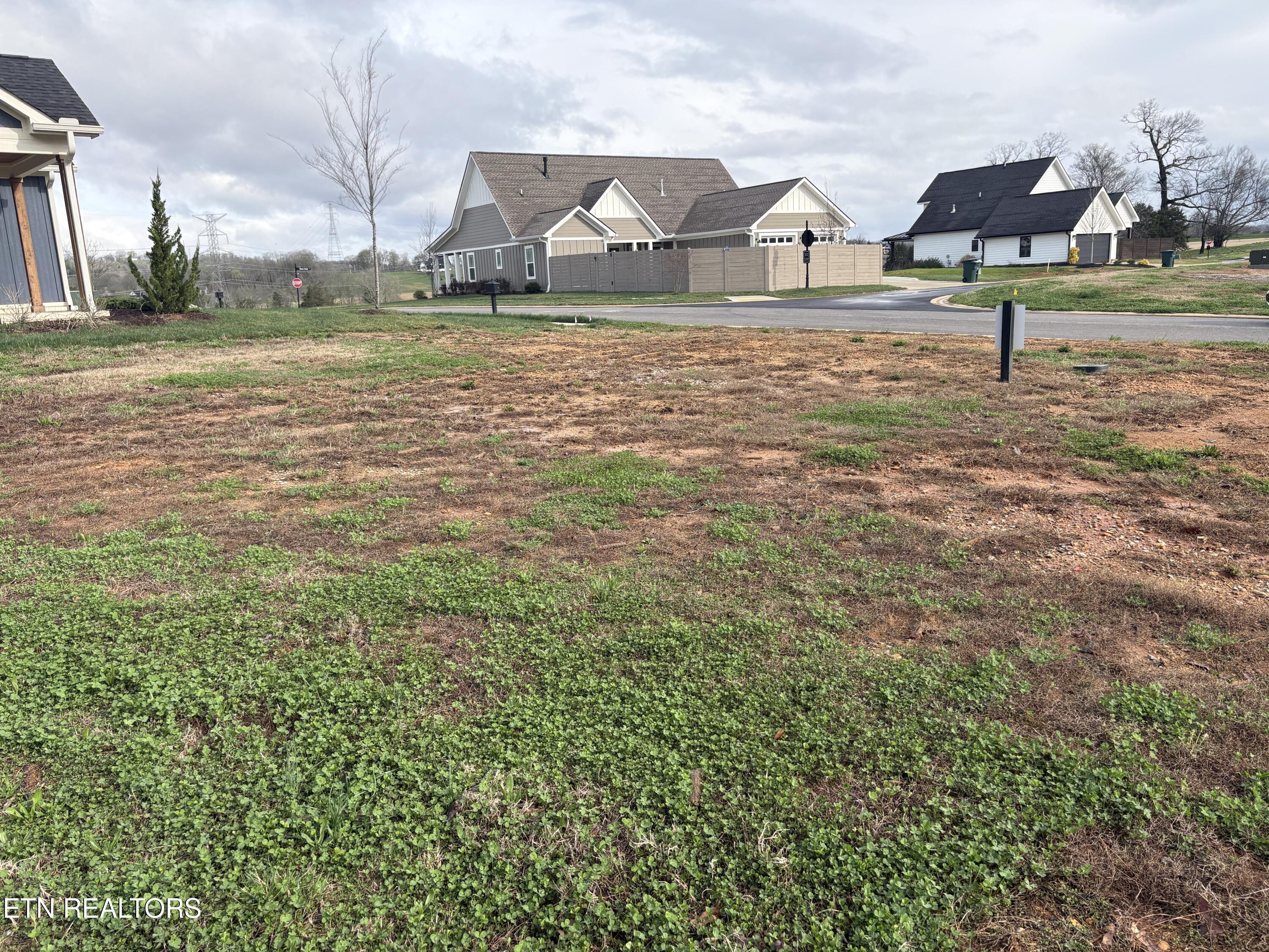 Image 2: lot51!