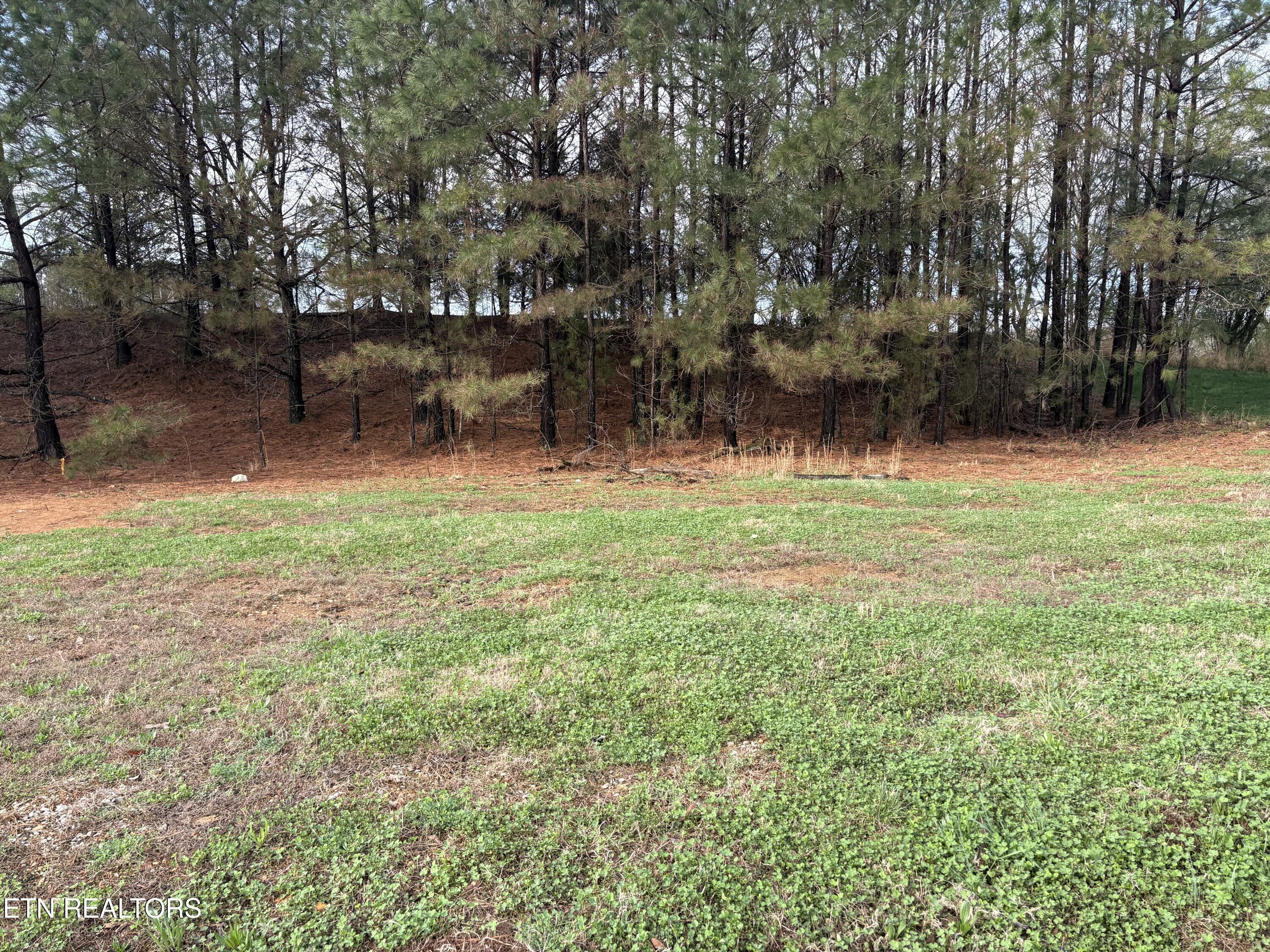 Image 3: lot51