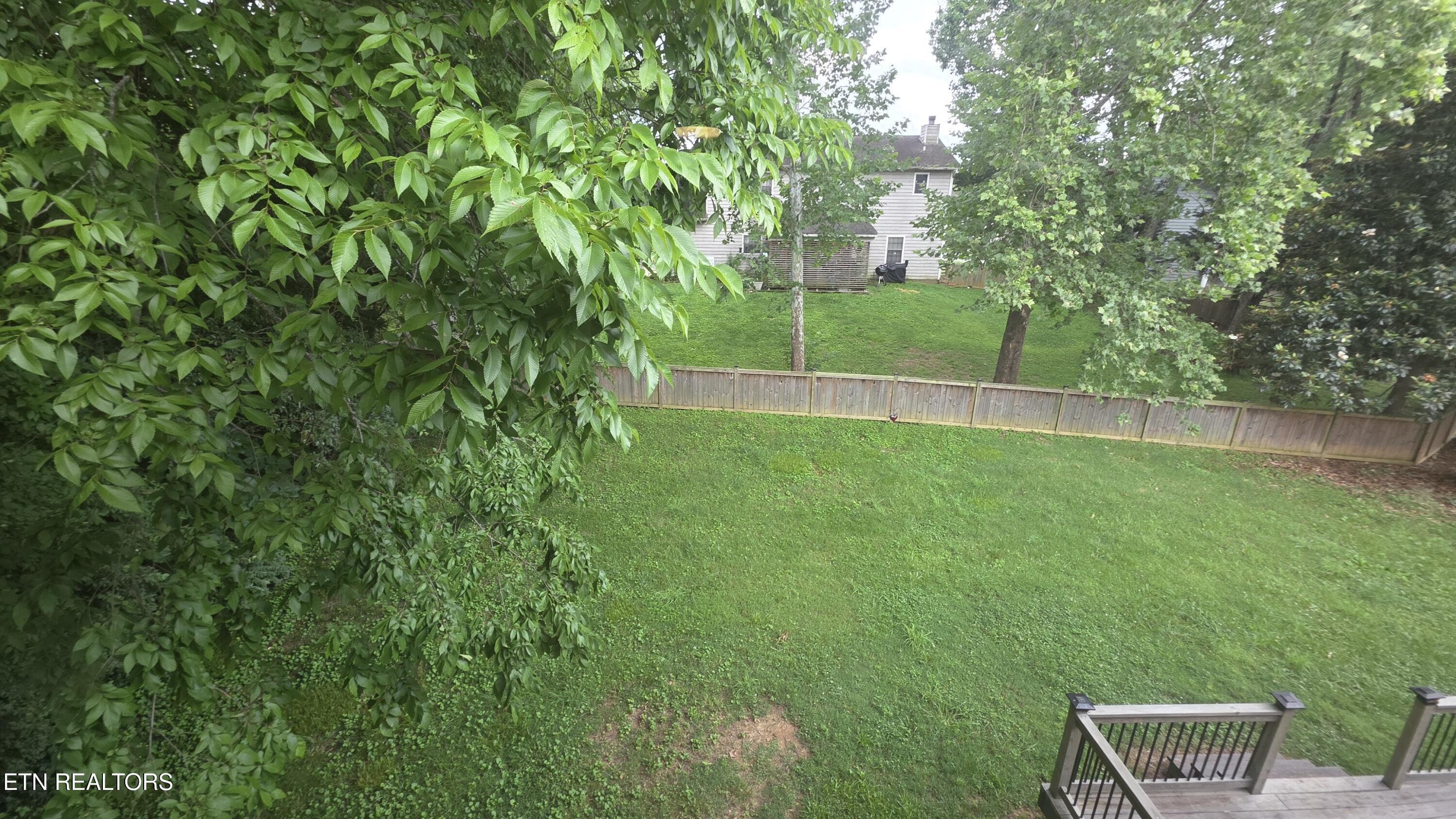 Image 2: Back Yard -1