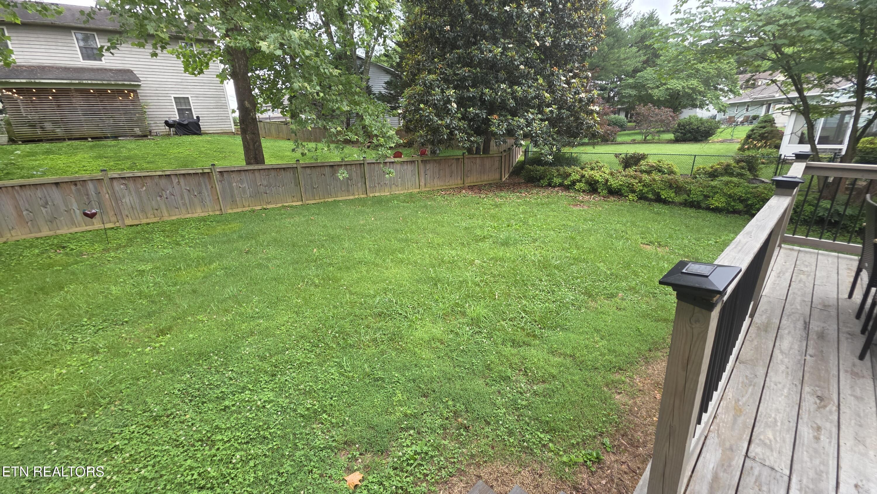 Image 3: Back yard