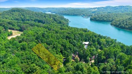 Hiwassee Drive