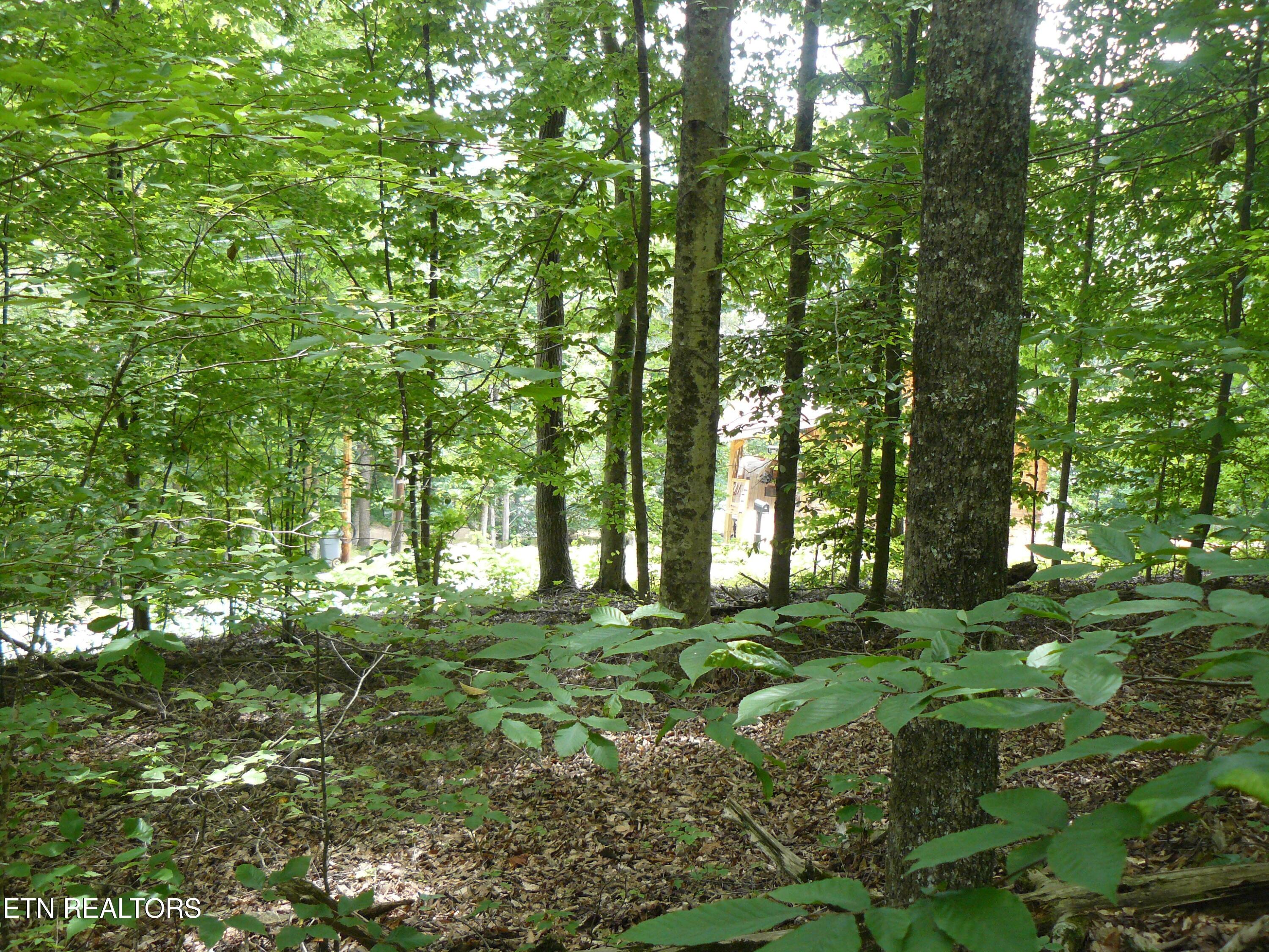 Image 3: P1430304