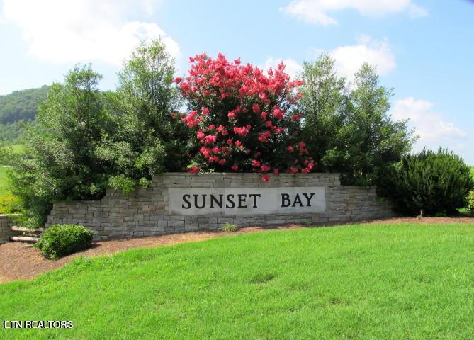 Image 3: Premier community