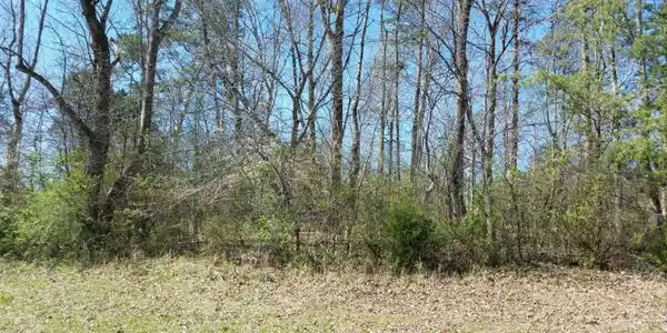 Image 2: Front View of Lot