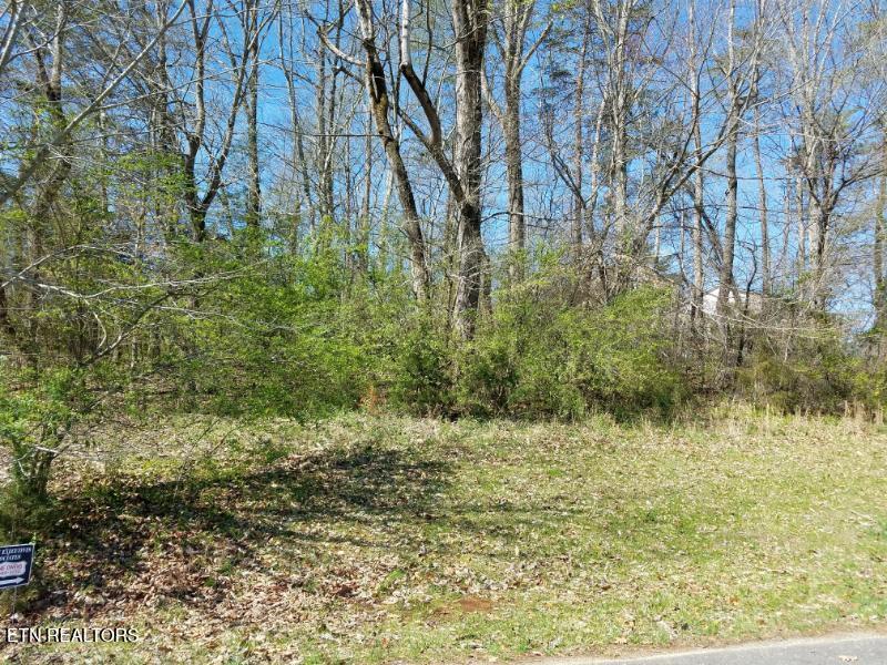Image 3: Left side of lot