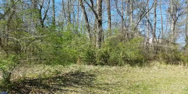 Image 3: Left side of lot