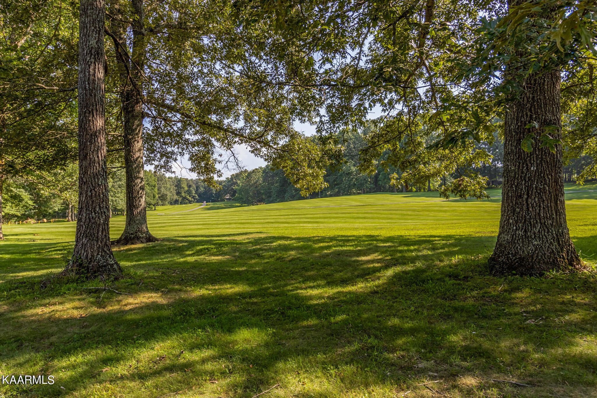 Image 3: Lake Tansi golf course lot