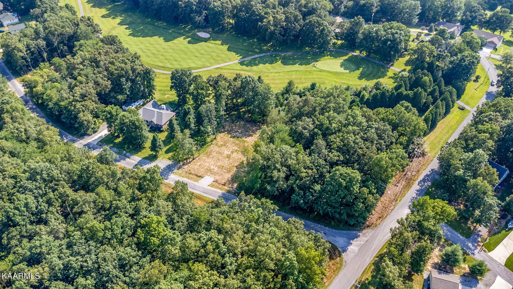 Image 4: Aerial View
