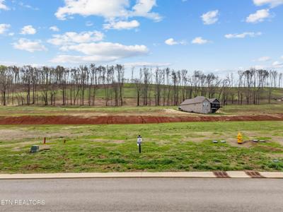 674 Black Bear Circle