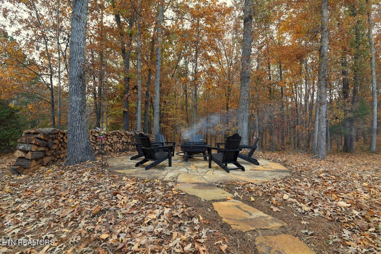 Image 3: H private firepit with wood