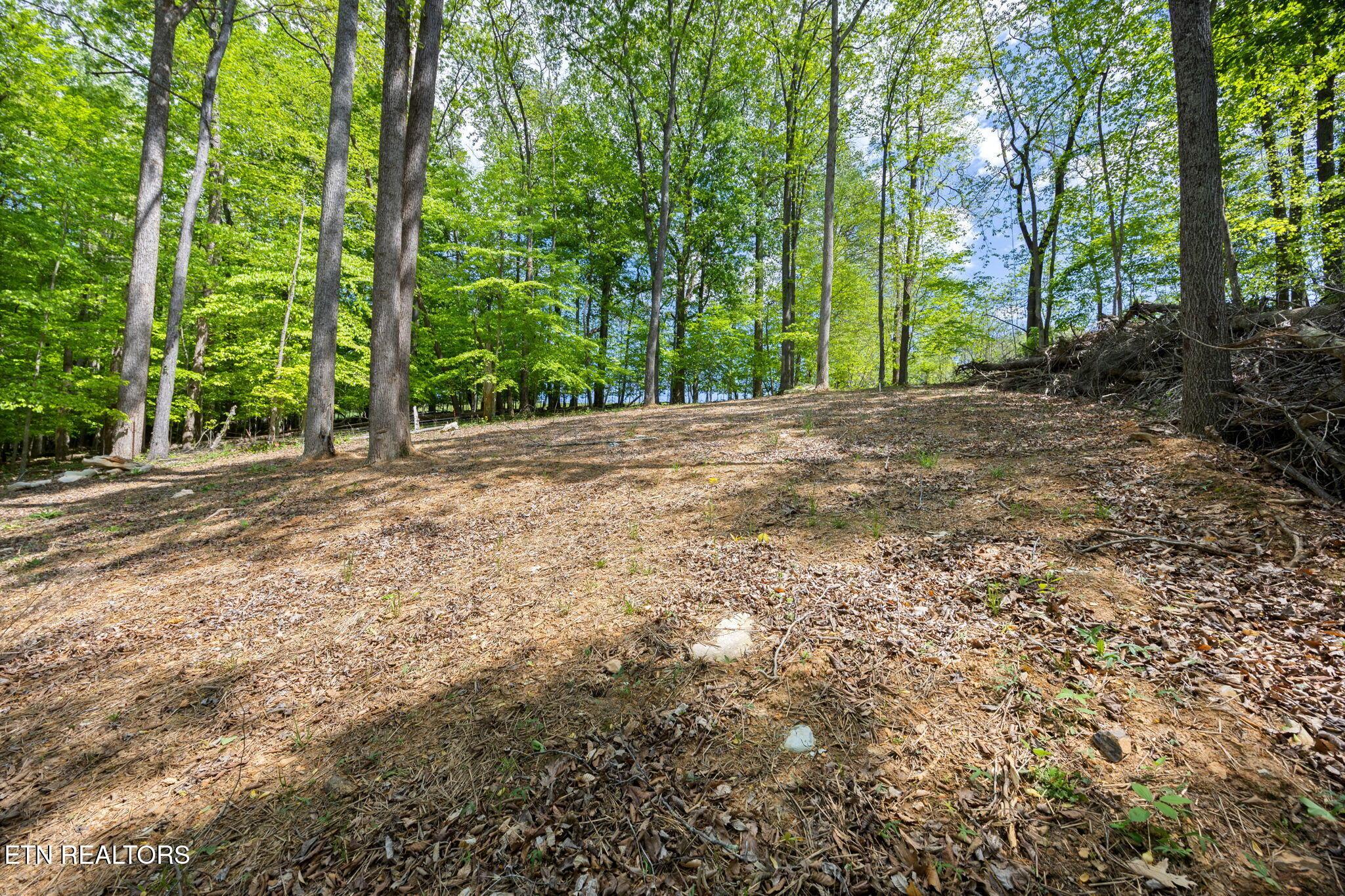 Image 3: 12-web-or-mls-RS9_4595B