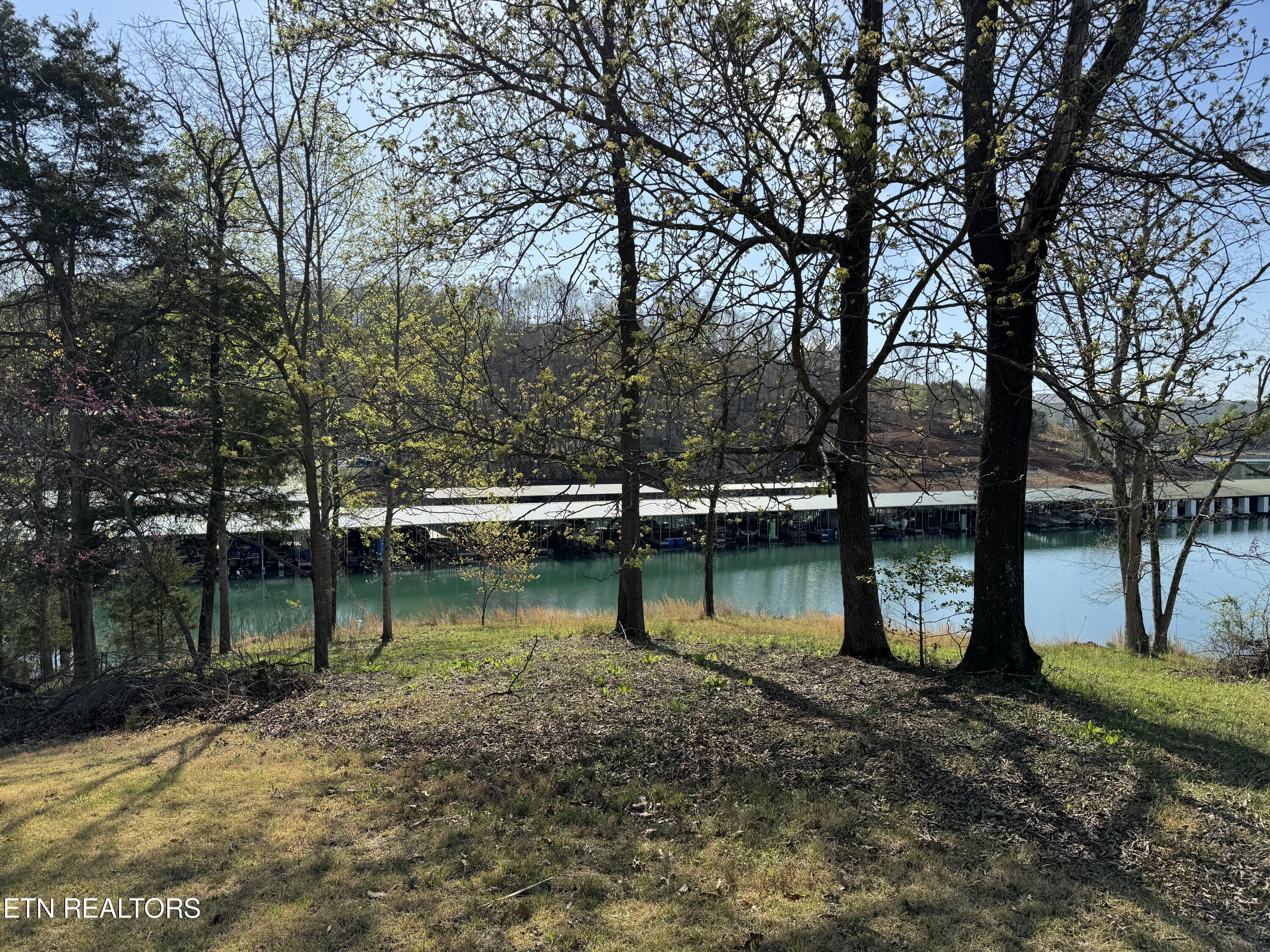 Image 1: Lakefront Lot