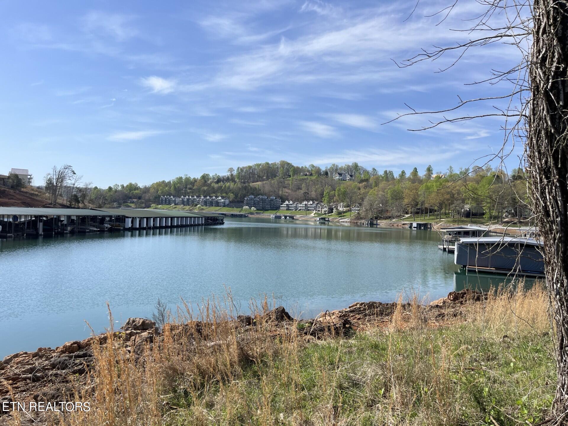 Image 2: Lakefront Lot