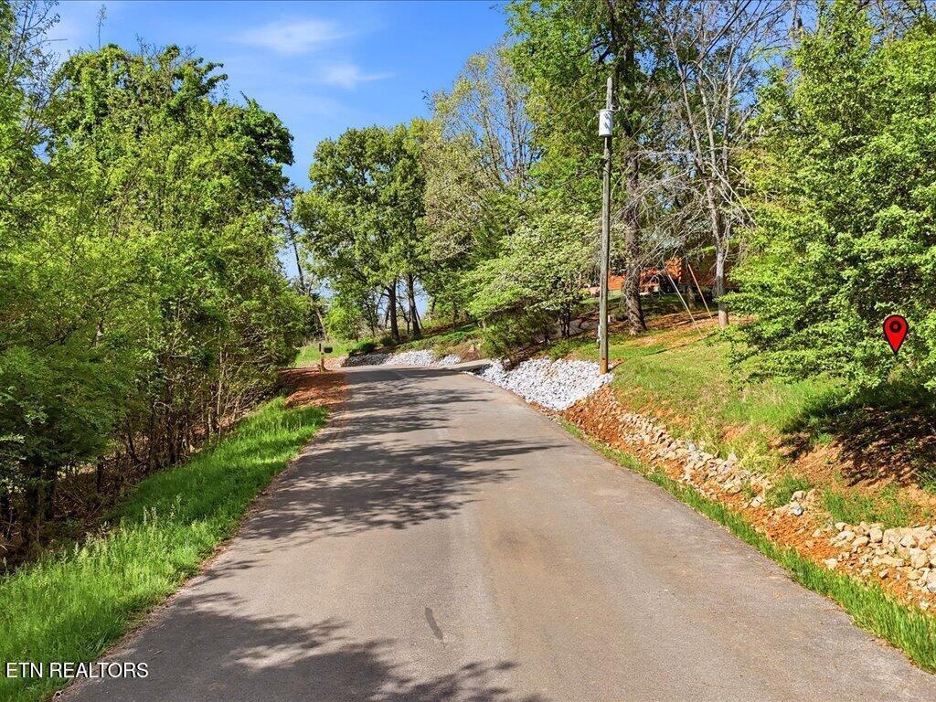 Image 2: Lot 60 Chelaque Way - 2