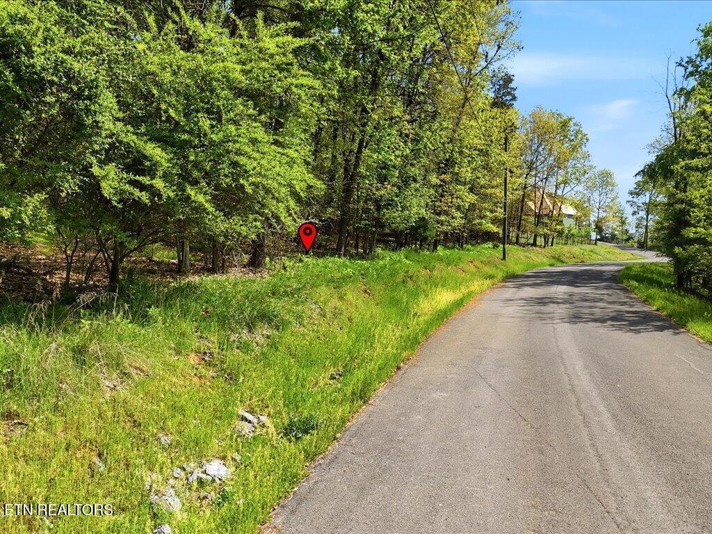 Image 3: Lot 60 Chelaque Way - 3
