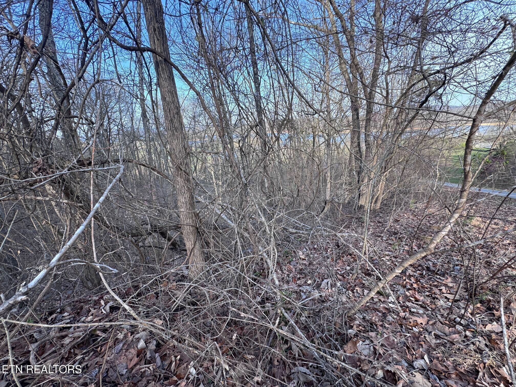 Image 3: IMG_0569