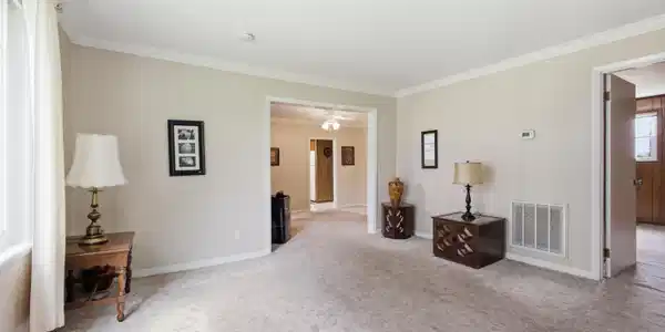 Image 3: SPOT8586