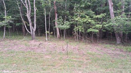 228 Snead Dr Drive