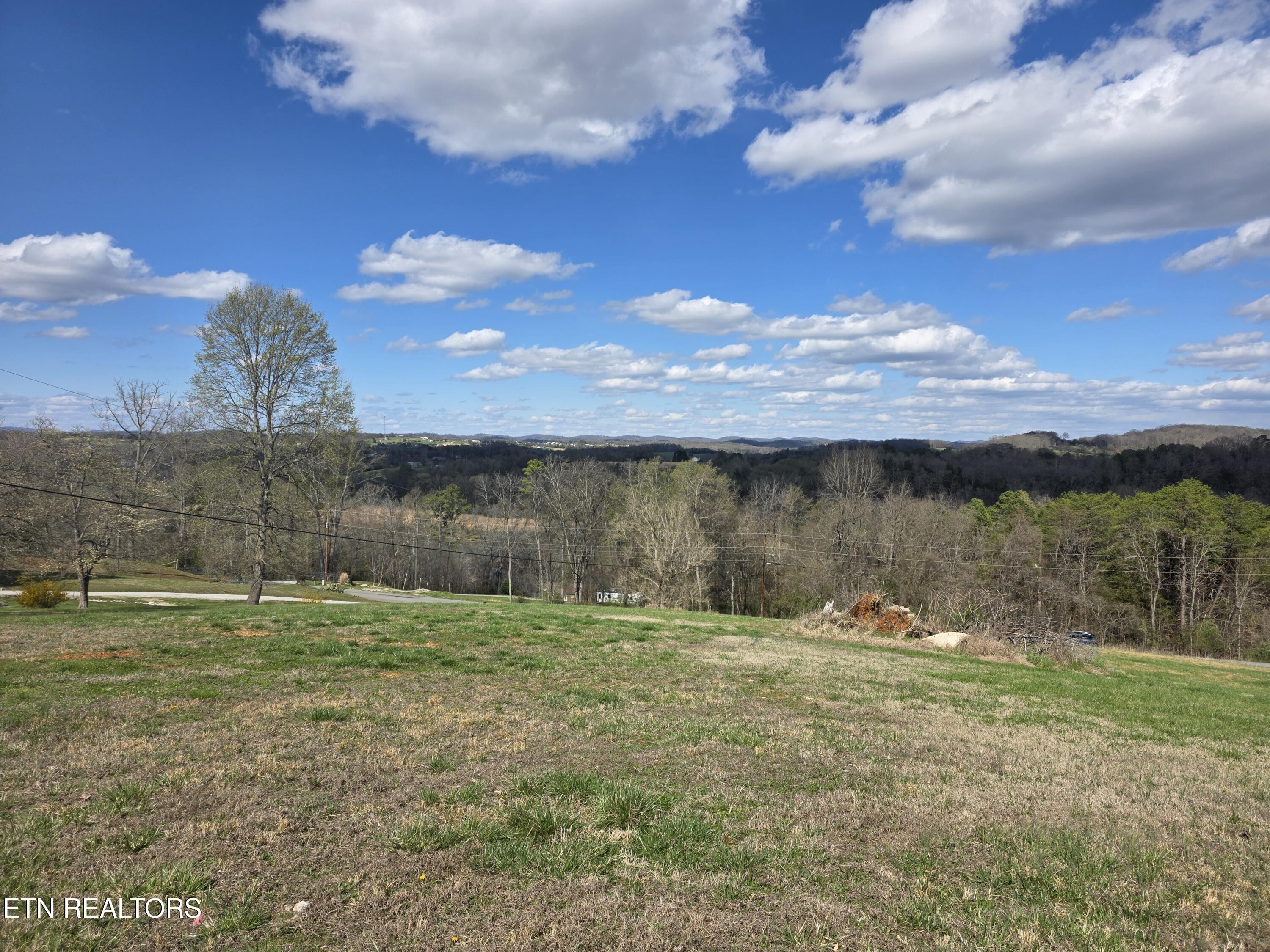 Image 3: 20260317_155049