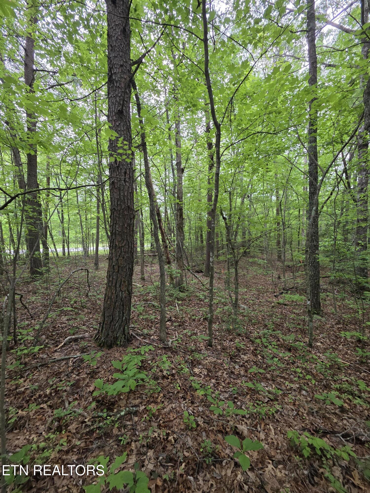 Image 3: 1000001869