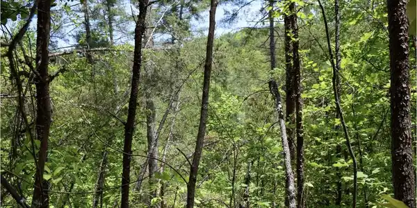 Image 3: IMG_8414