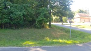 Lot 1 Gogeyi Tr
