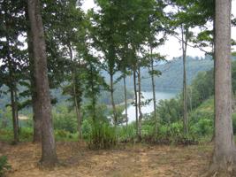 Lot 25 Anne 201 Rd