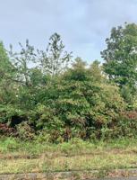 Lot 178 Lakeshore Drive
