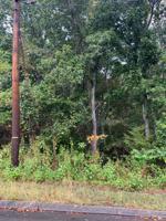 Lot 176 Woodstock Drive