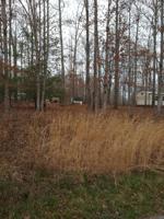 6013 Loch Loosa Drive