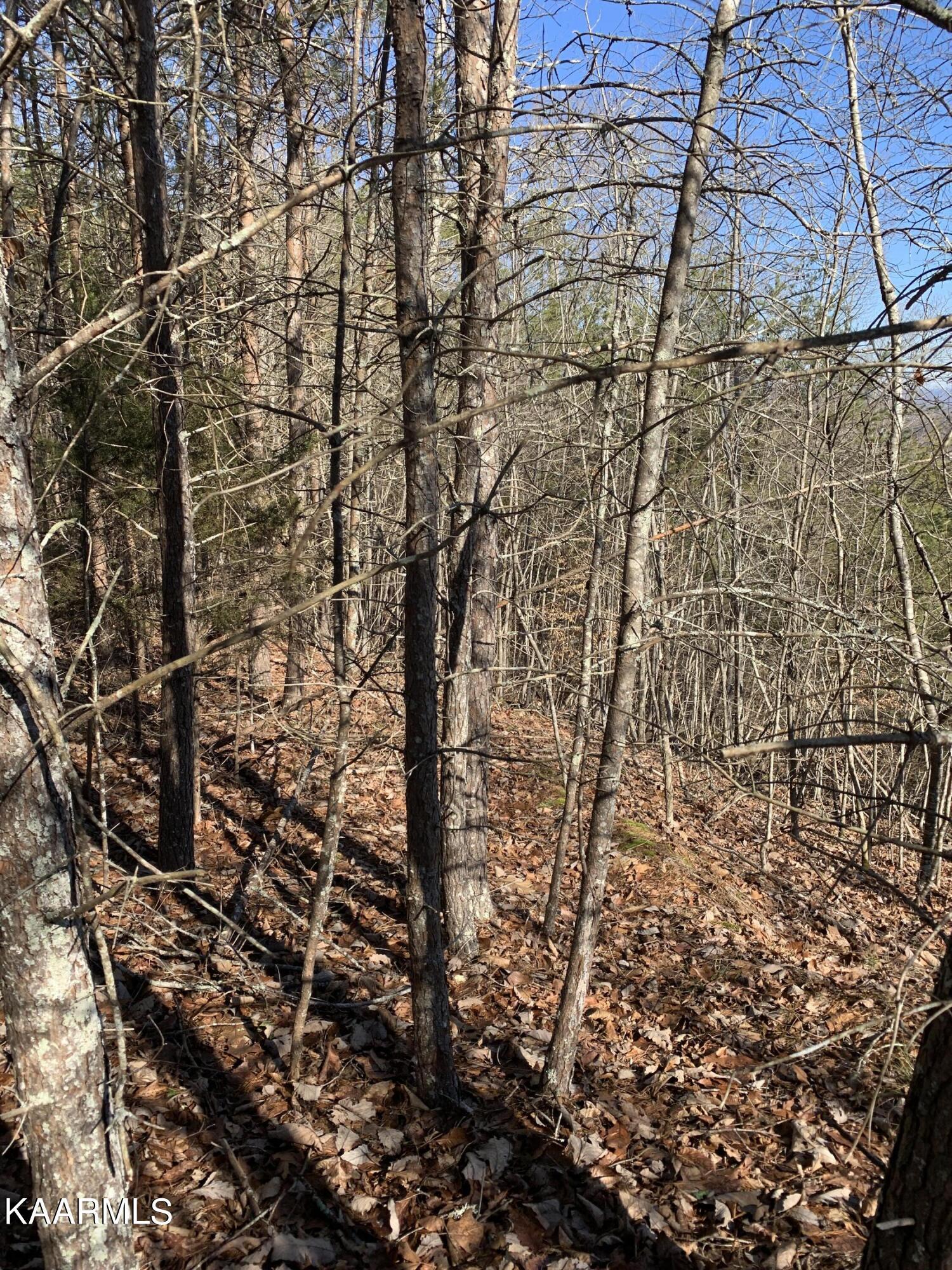 Image 3: Photo 3