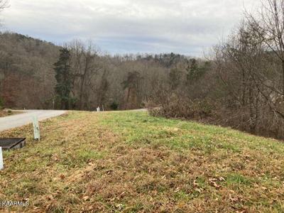 Lot 340 Eagle Court
