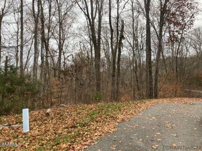 Lot 346 Larayne Hollow Rd