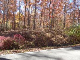 131 Ivy Lane
