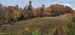 36.59 Ac River Rd