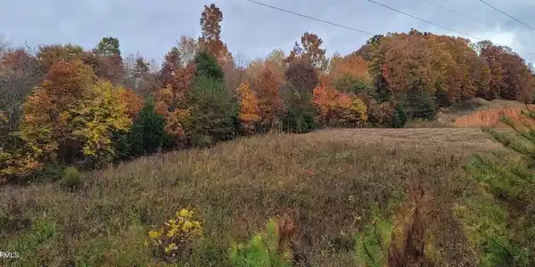 36.59 Ac River Rd